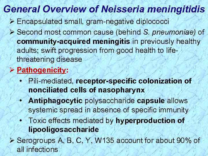 General Overview of Neisseria meningitidis Ø Encapsulated small, gram-negative diplococci Ø Second most common