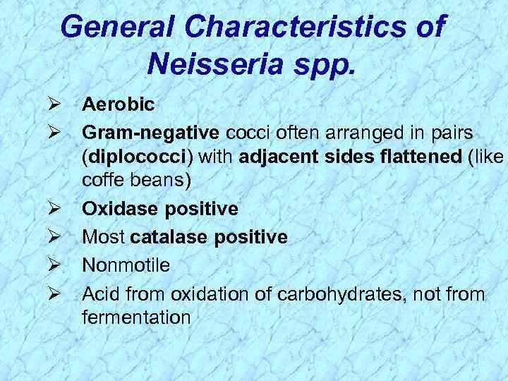 General Characteristics of Neisseria spp. Ø Aerobic Ø Gram-negative cocci often arranged in pairs