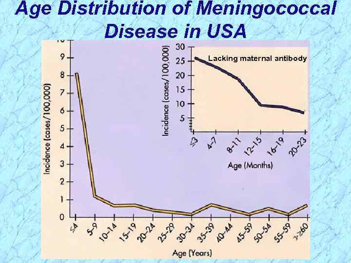Age Distribution of Meningococcal Disease in USA Lacking maternal antibody 
