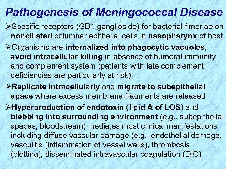 Pathogenesis of Meningococcal Disease ØSpecific receptors (GD 1 ganglioside) for bacterial fimbriae on nonciliated