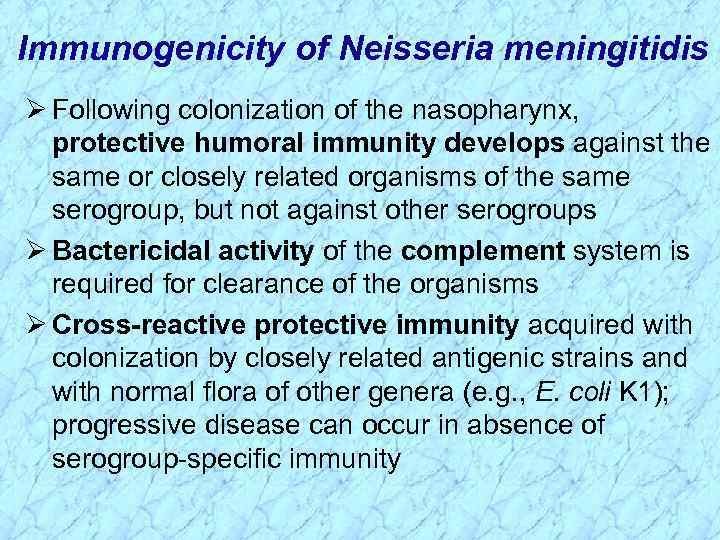 Immunogenicity of Neisseria meningitidis Ø Following colonization of the nasopharynx, protective humoral immunity develops