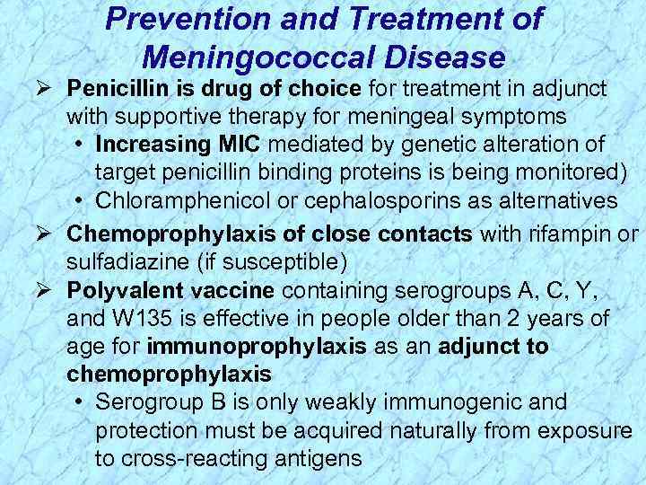 Prevention and Treatment of Meningococcal Disease Ø Penicillin is drug of choice for treatment