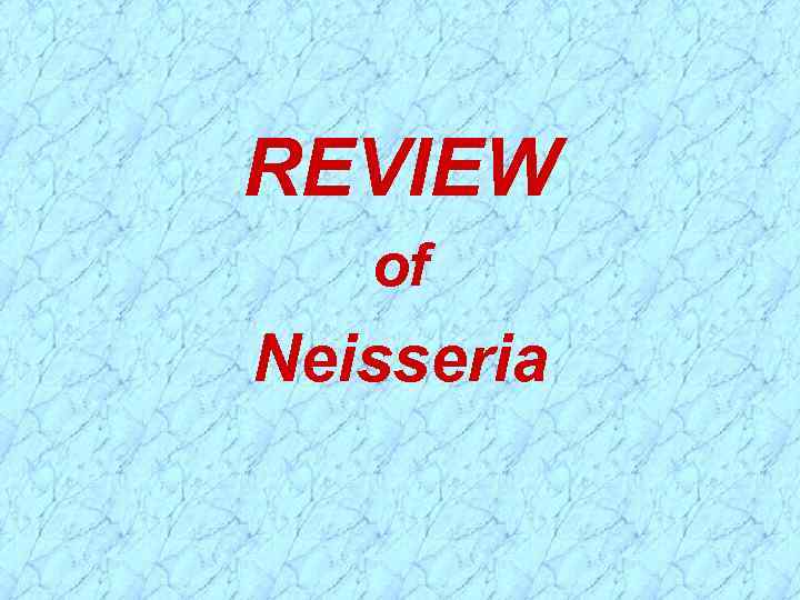 REVIEW of Neisseria 