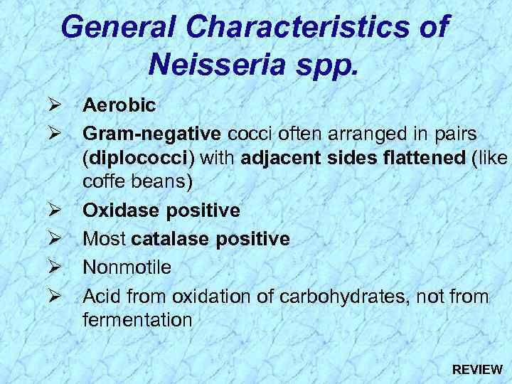 General Characteristics of Neisseria spp. Ø Aerobic Ø Gram-negative cocci often arranged in pairs