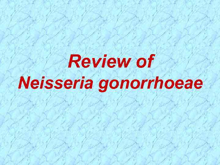 Review of Neisseria gonorrhoeae 