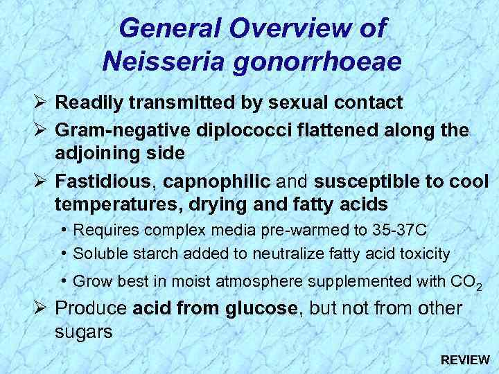 General Overview of Neisseria gonorrhoeae Ø Readily transmitted by sexual contact Ø Gram-negative diplococci