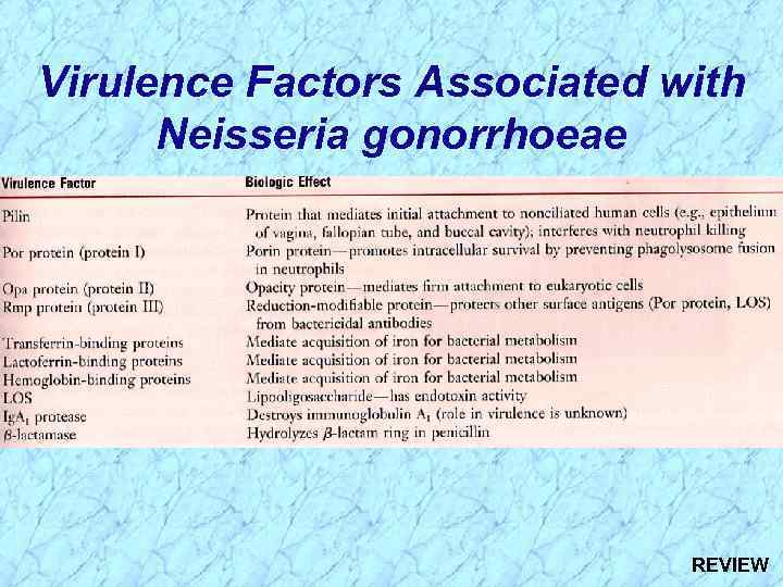 Virulence Factors Associated with Neisseria gonorrhoeae REVIEW 