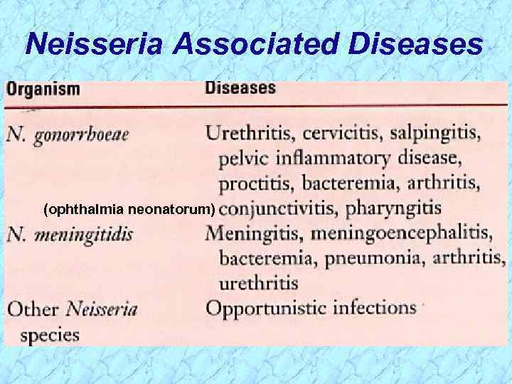 Neisseria Associated Diseases (ophthalmia neonatorum) 