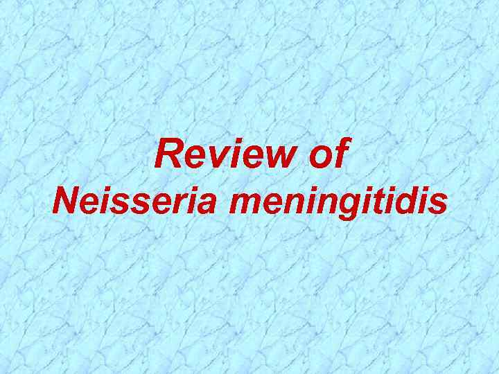 Review of Neisseria meningitidis 