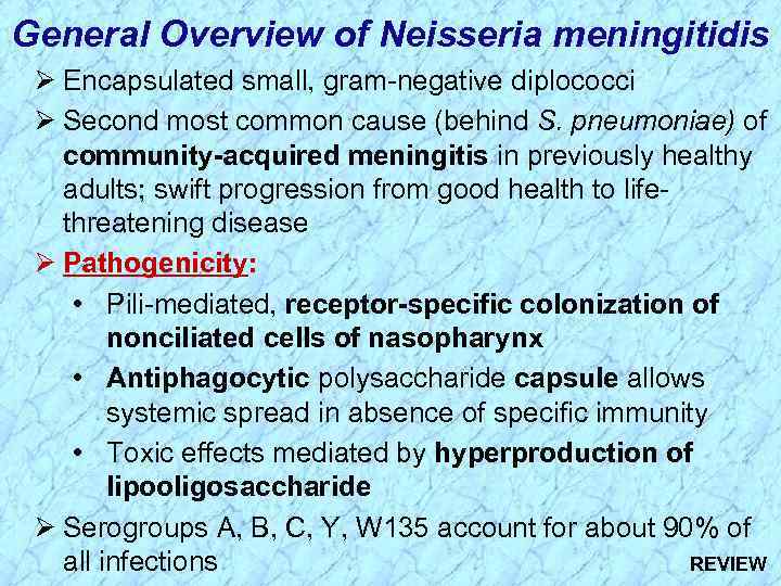 General Overview of Neisseria meningitidis Ø Encapsulated small, gram-negative diplococci Ø Second most common