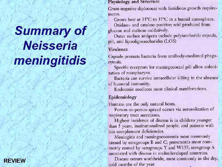 Summary of Neisseria meningitidis REVIEW 