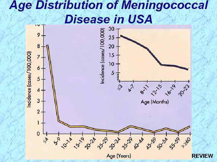 Age Distribution of Meningococcal Disease in USA REVIEW 