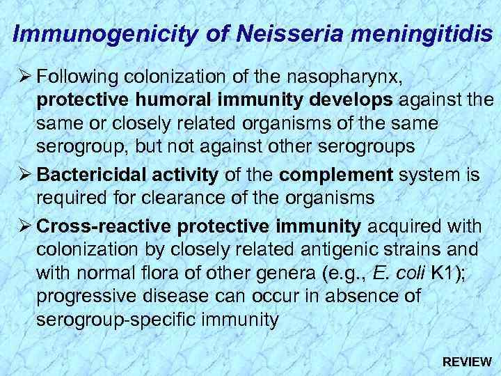 Immunogenicity of Neisseria meningitidis Ø Following colonization of the nasopharynx, protective humoral immunity develops