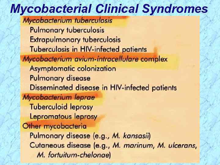 Mycobacterial Clinical Syndromes 