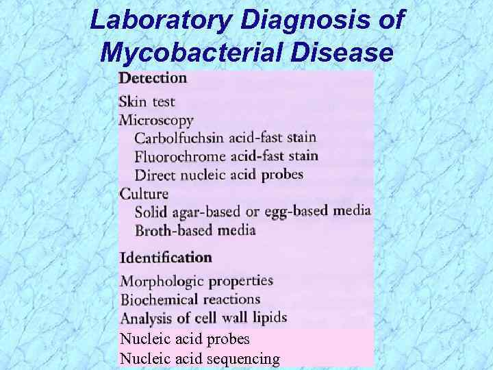 Laboratory Diagnosis of Mycobacterial Disease Nucleic acid probes Nucleic acid sequencing 