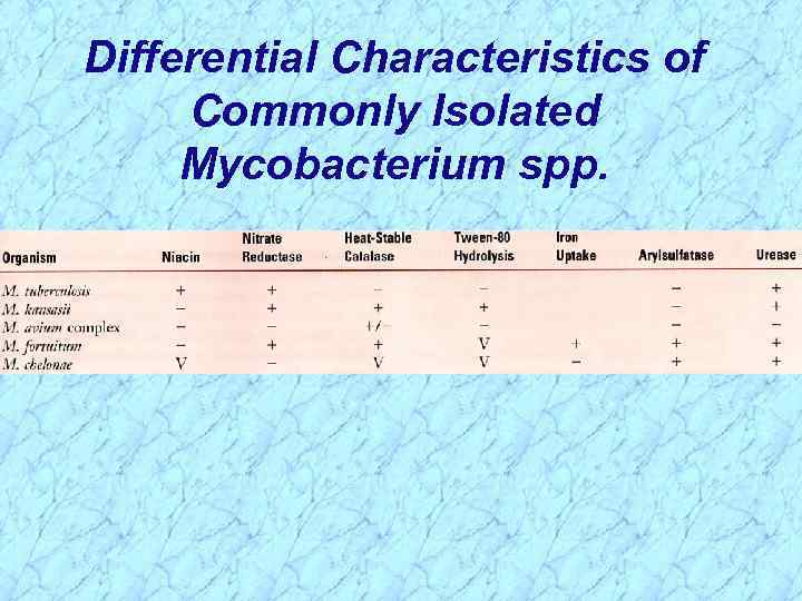 Differential Characteristics of Commonly Isolated Mycobacterium spp. 