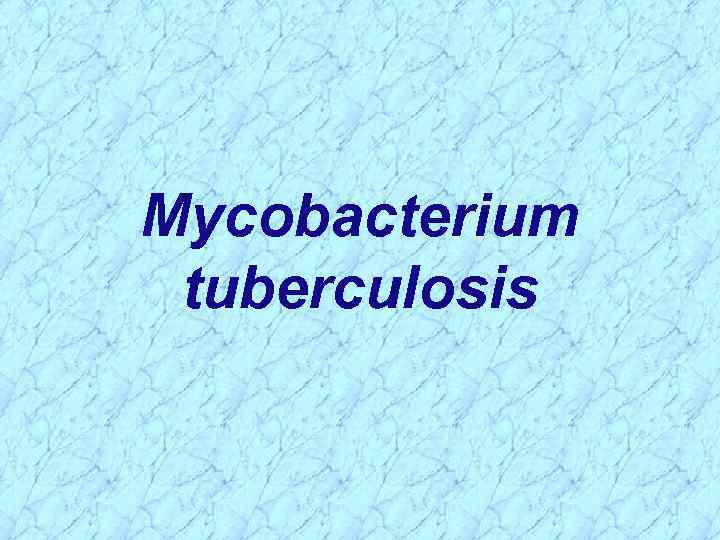 Mycobacterium tuberculosis 