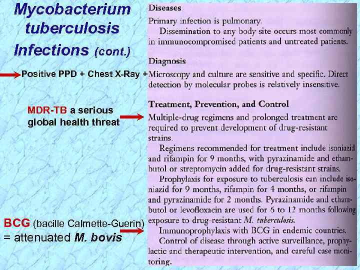 Mycobacterium tuberculosis Infections (cont. ) Positive PPD + Chest X-Ray + MDR-TB a serious