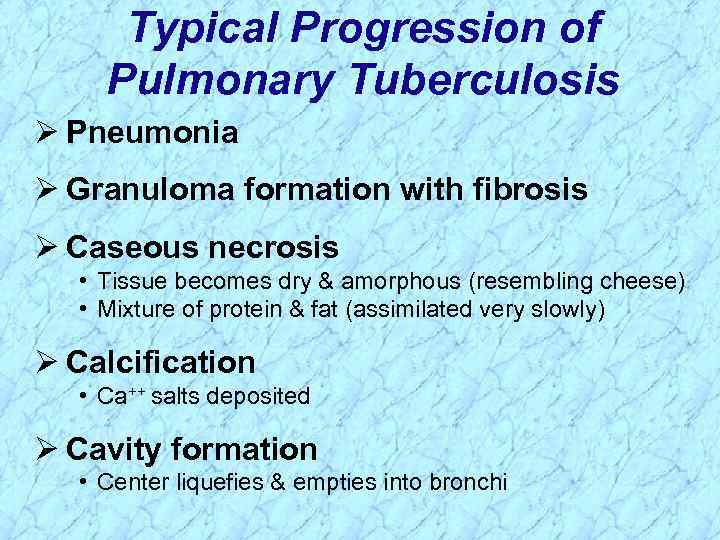 Typical Progression of Pulmonary Tuberculosis Ø Pneumonia Ø Granuloma formation with fibrosis Ø Caseous