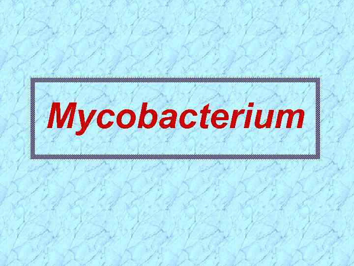 Mycobacterium 