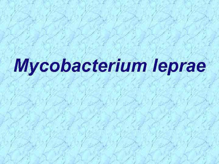 Mycobacterium leprae 