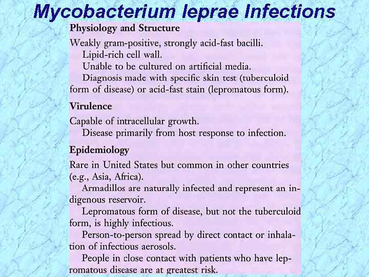 Mycobacterium leprae Infections 