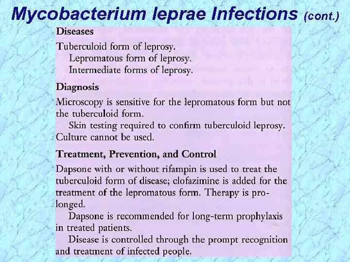 Mycobacterium leprae Infections (cont. ) 