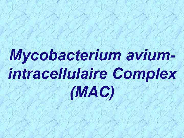 Mycobacterium aviumintracellulaire Complex (MAC) 