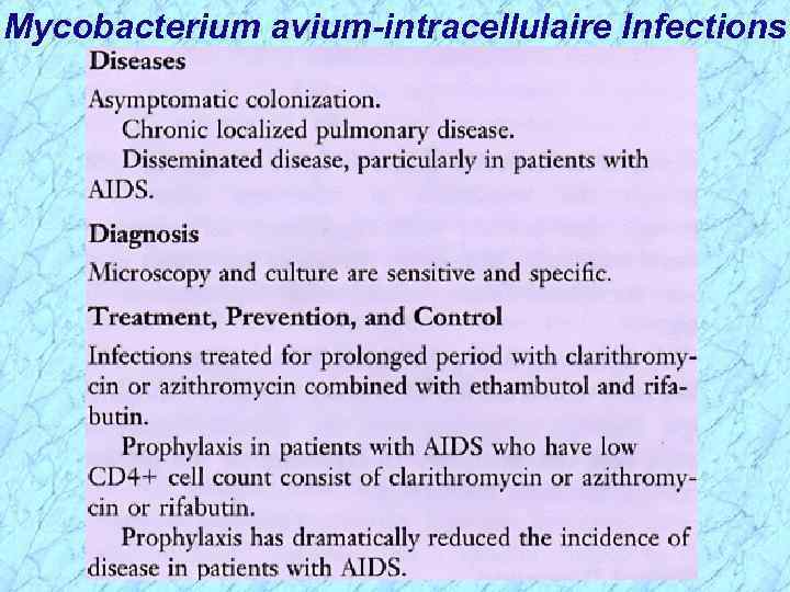 Mycobacterium avium-intracellulaire Infections 