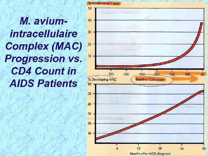 M. aviumintracellulaire Complex (MAC) Progression vs. CD 4 Count in AIDS Patients 