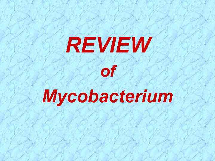 REVIEW of Mycobacterium 