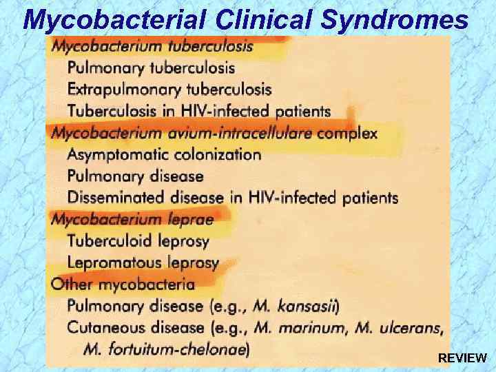 Mycobacterial Clinical Syndromes REVIEW 