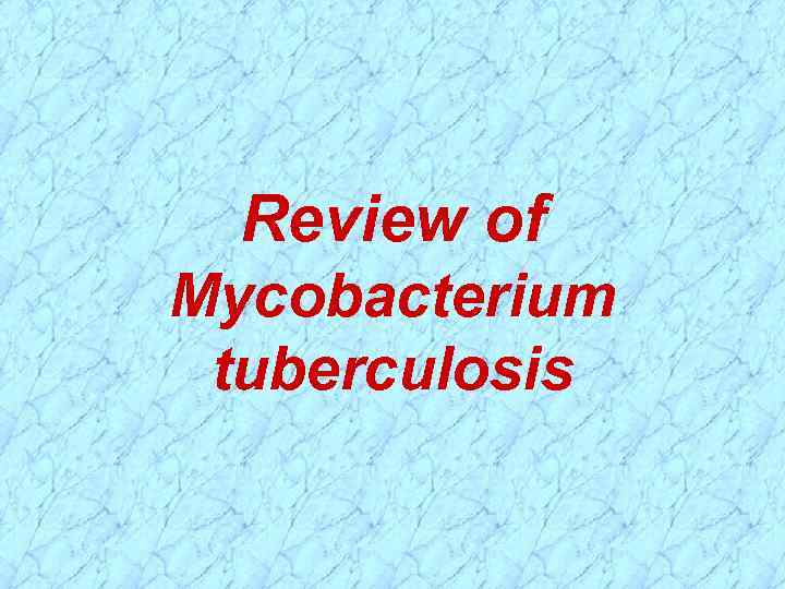 Review of Mycobacterium tuberculosis 