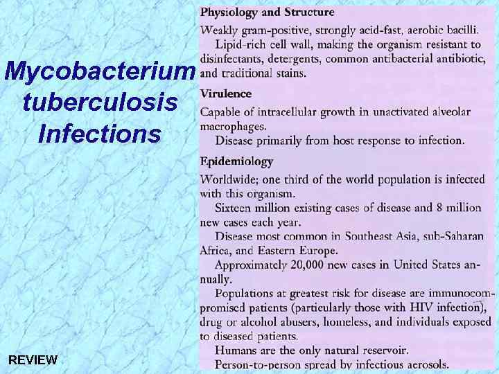 Mycobacterium tuberculosis Infections REVIEW 