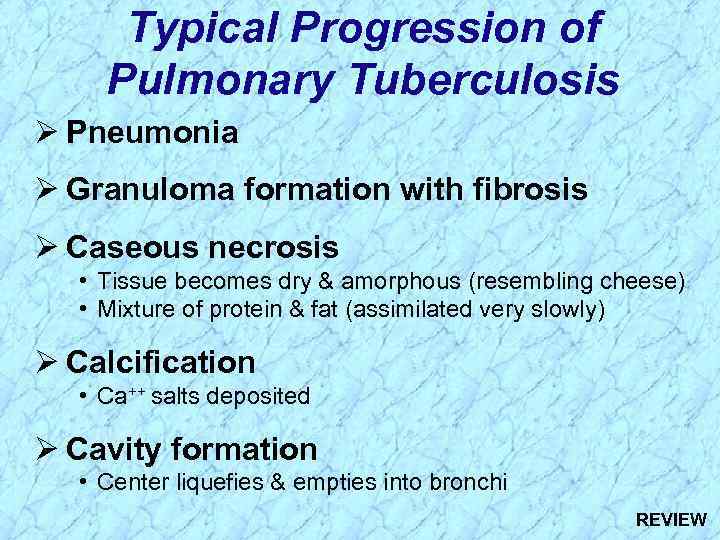 Typical Progression of Pulmonary Tuberculosis Ø Pneumonia Ø Granuloma formation with fibrosis Ø Caseous