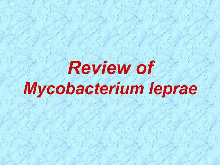 Review of Mycobacterium leprae 