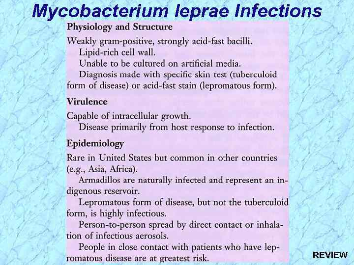 Mycobacterium leprae Infections REVIEW 