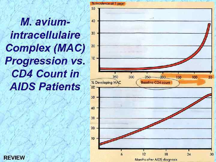 M. aviumintracellulaire Complex (MAC) Progression vs. CD 4 Count in AIDS Patients REVIEW 