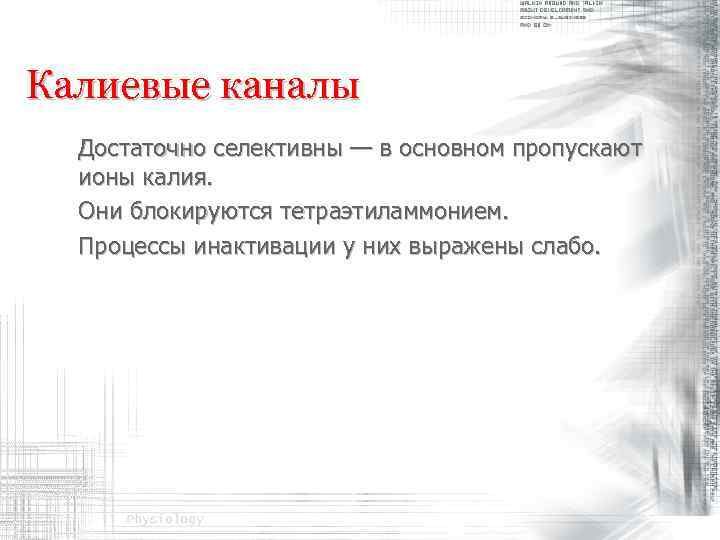 Калиевые каналы Достаточно селективны — в основном пропускают ионы калия. Они блокируются тетраэтиламмонием. Процессы