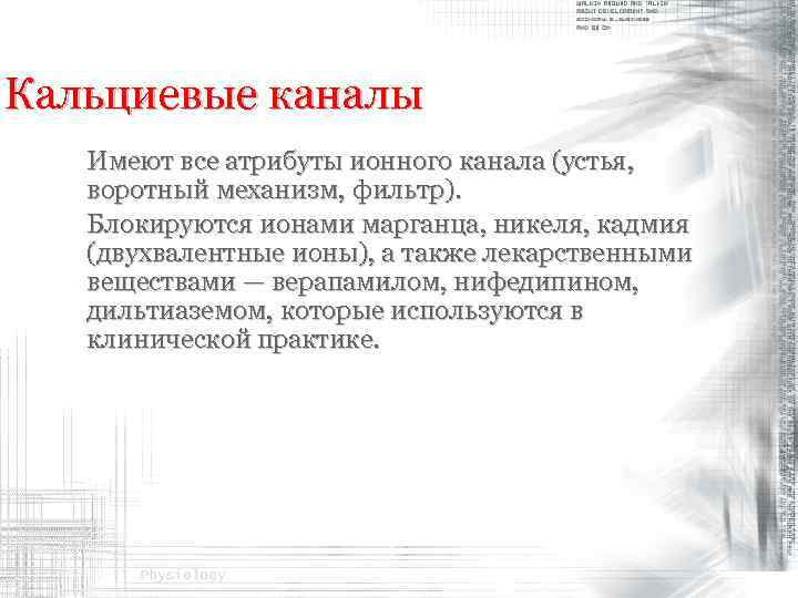 Кальциевые каналы Имеют все атрибуты ионного канала (устья, воротный механизм, фильтр). Блокируются ионами марганца,