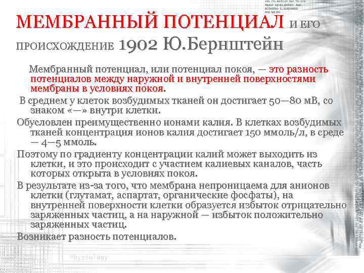 МЕМБРАННЫЙ ПОТЕНЦИАЛ И ЕГО ПРОИСХОЖДЕНИЕ 1902 Ю. Бернштейн Мембранный потенциал, или потенциал покоя, —