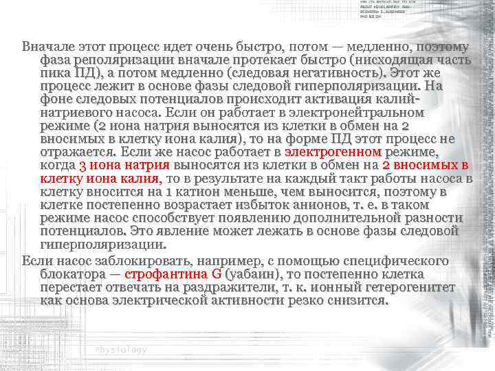 Вначале этот процесс идет очень быстро, потом — медленно, поэтому фаза реполяризации вначале протекает