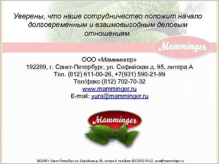 Уверены, что наше сотрудничество положит начало долговременным и взаимовыгодным деловым отношениям. ООО «Маммингер» 192289,