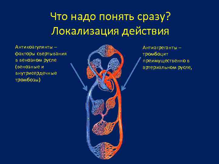 Что надо понять сразу? Локализация действия Антикоагулянты – факторы свертывания в венозном русле (венозные