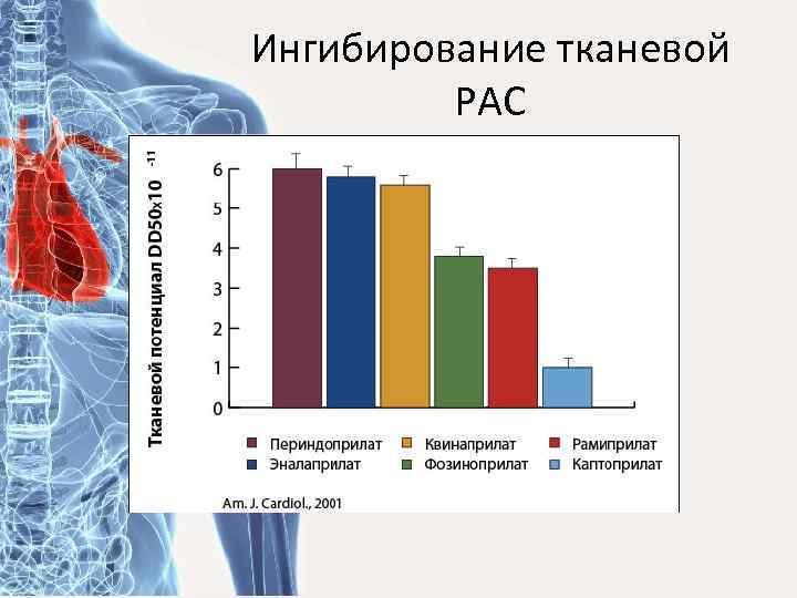 Ингибирование тканевой РАС 