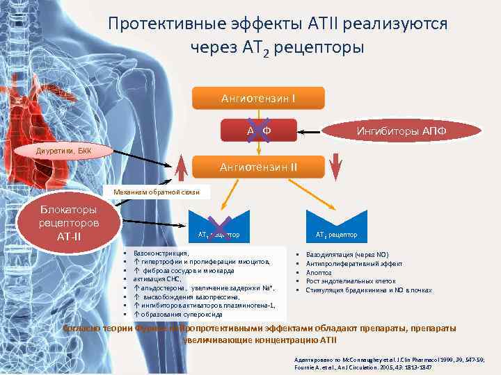 Протективные эффекты АТII реализуются через АТ 2 рецепторы Ангиотензин I АПФ Ингибиторы АПФ Диуретики,