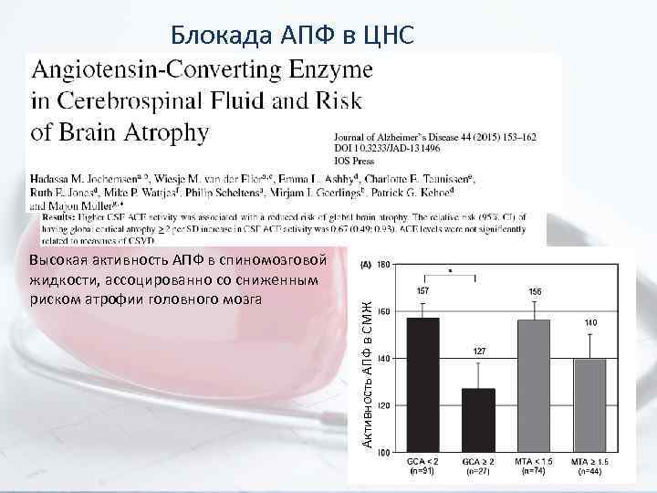 Высокая активность АПФ в спиномозговой жидкости, ассоцированно со сниженным риском атрофии головного мозга Активность