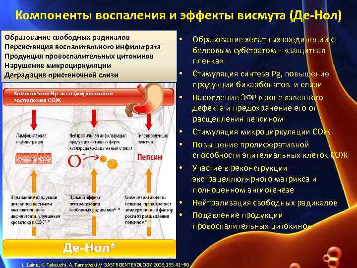 Компоненты воспаления и эффекты висмута (Де-Нол) Образование свободных радикалов Персистенция воспалительного инфильтрата Продукция провоспалительных