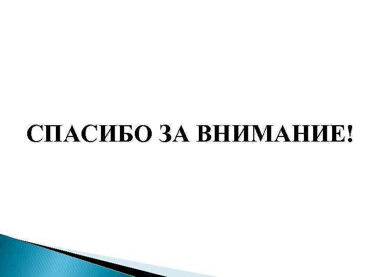 СПАСИБО ЗА ВНИМАНИЕ! 