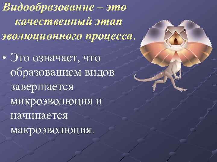 Видообразование – это качественный этап эволюционного процесса. • Это означает, что образованием видов завершается